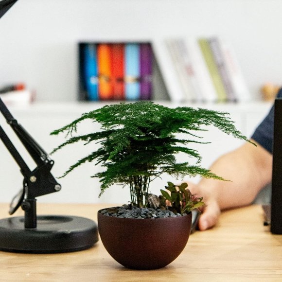 Set of 2 Handmade 4.5'' Diam x 2.5'' High Zen Style Rice & Miso Soup Bowls - Picture 5 of 6